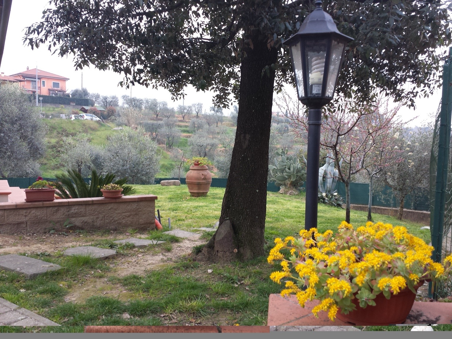 Giardino con alberi, fiori e vista sugli ulivi